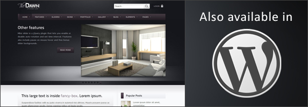 theDawn Premium All-in-one HTML Theme